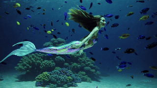 人魚(Mermaid) - 美しいサンゴ礁の中を泳ぐ伝説の存在「人魚」のシーン。長い髪と輝く尾ひれが特徴的な無料動画素材。神秘的で幻想的な映像演出に最適な素材。